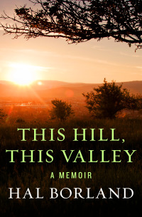 صورة الغلاف: This Hill, This Valley 9780801840203
