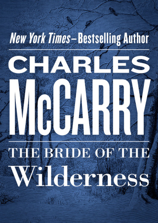 Imagen de portada: The Bride of the Wilderness 9781453232521