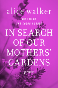 Cover image: In Search of Our Mothers' Gardens 9781453224069