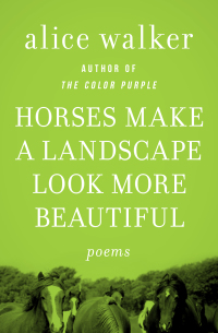 Cover image: Horses Make a Landscape Look More Beautiful 9781453224045