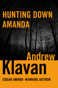 Cover image: Hunting Down Amanda 9781453234280