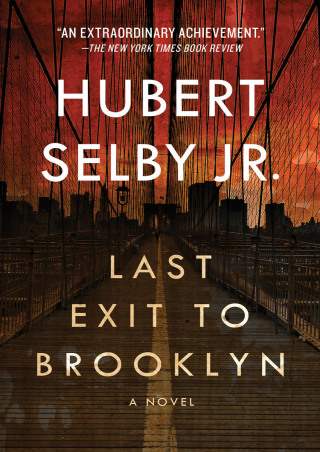 Cover image: Last Exit to Brooklyn 9781453235393