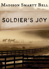 Titelbild: Soldier's Joy 9781453241165