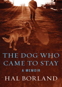 Imagen de portada: The Dog Who Came to Stay 9781453232354