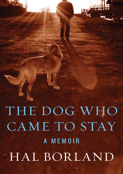 The Dog Who Came to Stay: A Memoir - FULL INSTANT DOWNLOAD | PDF DOCX EPUB