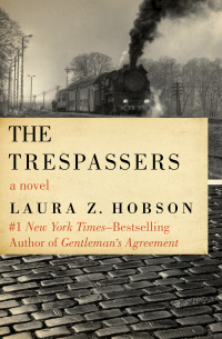 Cover image: The Trespassers 9781453238738