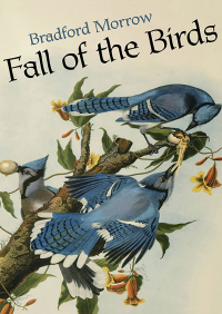 表紙画像: Fall of the Birds 9781453239339