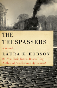 Imagen de portada: The Trespassers 9781453238738