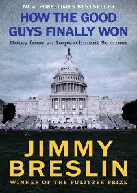 Cover image: How the Good Guys Finally Won 9780670382071