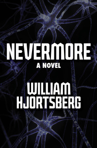 Cover image: Nevermore 9781453246597