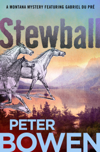 Cover image: Stewball 9780312277307