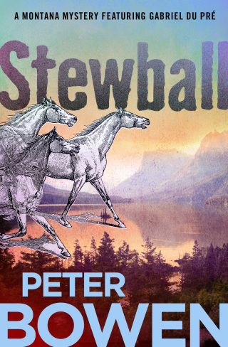 Imagen de portada: Stewball 9780312277307