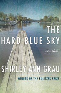 Cover image: The Hard Blue Sky 9781453247242