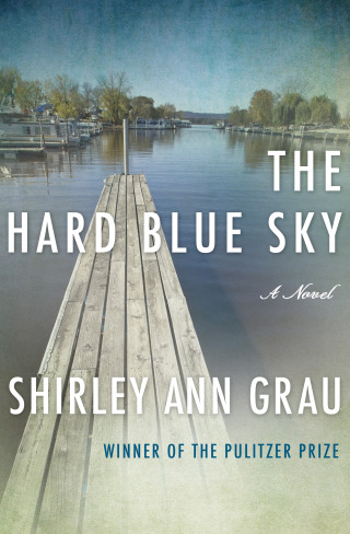 Imagen de portada: The Hard Blue Sky 9781453247242
