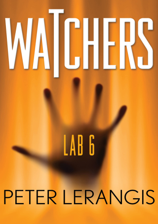 Cover image: Lab 6 9781453248256