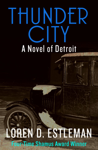 Imagen de portada: Thunder City 9781453248638