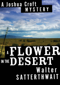 Imagen de portada: A Flower in the Desert 9781453251270