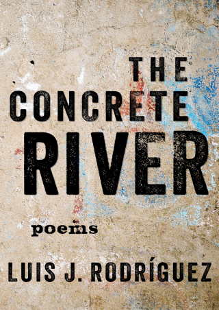 Immagine di copertina: The Concrete River 9781453259092