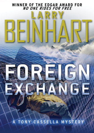 Titelbild: Foreign Exchange 9781855016989