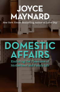 Cover image: Domestic Affairs 9781453261316