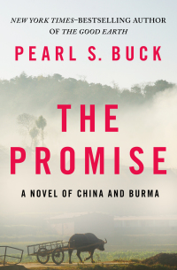 Cover image: The Promise 9781453263525