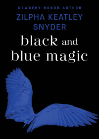 Immagine di copertina: Black and Blue Magic 9781504035606