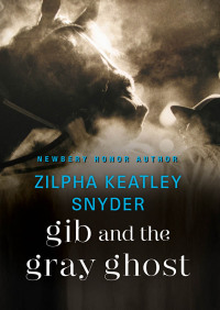 Imagen de portada: Gib and the Gray Ghost 9781453271902