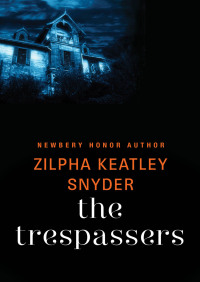 Immagine di copertina: The Trespassers 9781453271988