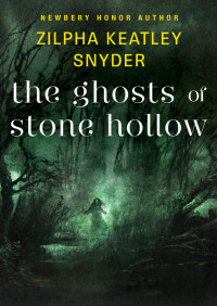 Imagen de portada: The Ghosts of Stone Hollow 9781453272008