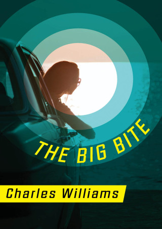 Cover image: The Big Bite 9781453273470