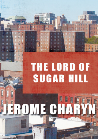 Immagine di copertina: The Lord of Sugar Hill 9781453277041