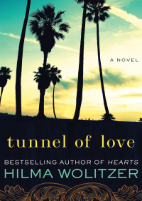 Imagen de portada: Tunnel of Love 9781453287866