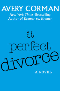 Titelbild: A Perfect Divorce 9781453292235