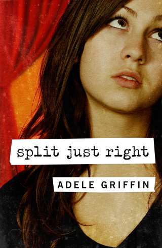 Imagen de portada: Split Just Right 9781453297407