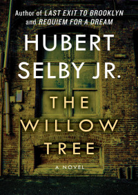 Immagine di copertina: The Willow Tree 9781453297780