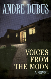 Cover image: Voices from the Moon 9781453299388