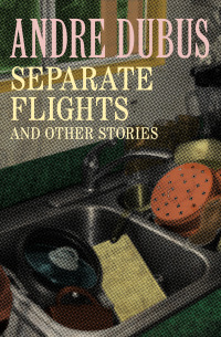 Imagen de portada: Separate Flights 9781453299463