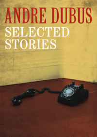 Imagen de portada: Selected Stories 9781453299500