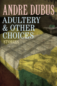 Imagen de portada: Adultery & Other Choices 9781453299708