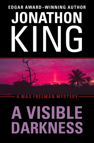 Imagen de portada: A Visible Darkness 9781453258385