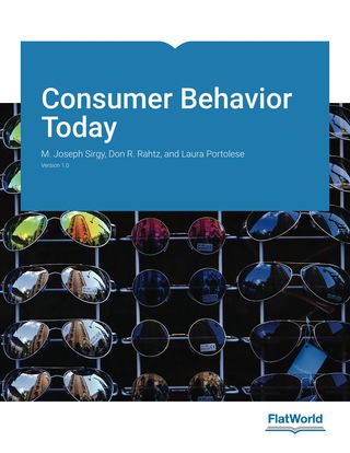 Cover image: Consumer Behavior Today v1.0 9781453363133