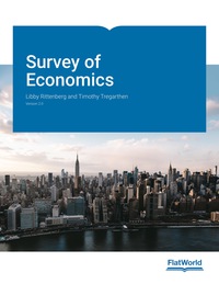 Cover image: Survey of Economics, Version 2.0 9781453387382