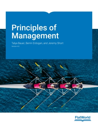 Cover image: Principles of Management v4.0 9781453392096