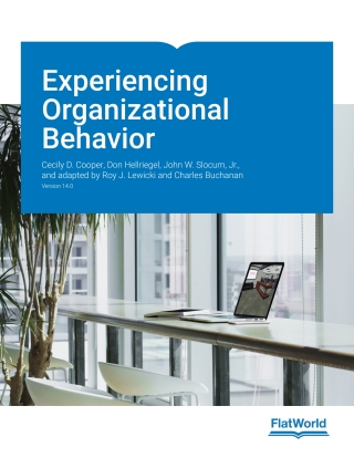 Cover image: Experiencing Organizational Behavior v14.0 9781453393475