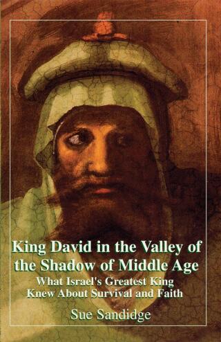 Cover image: King David in the Valley of the Shadow of Middle Age 9781401040345