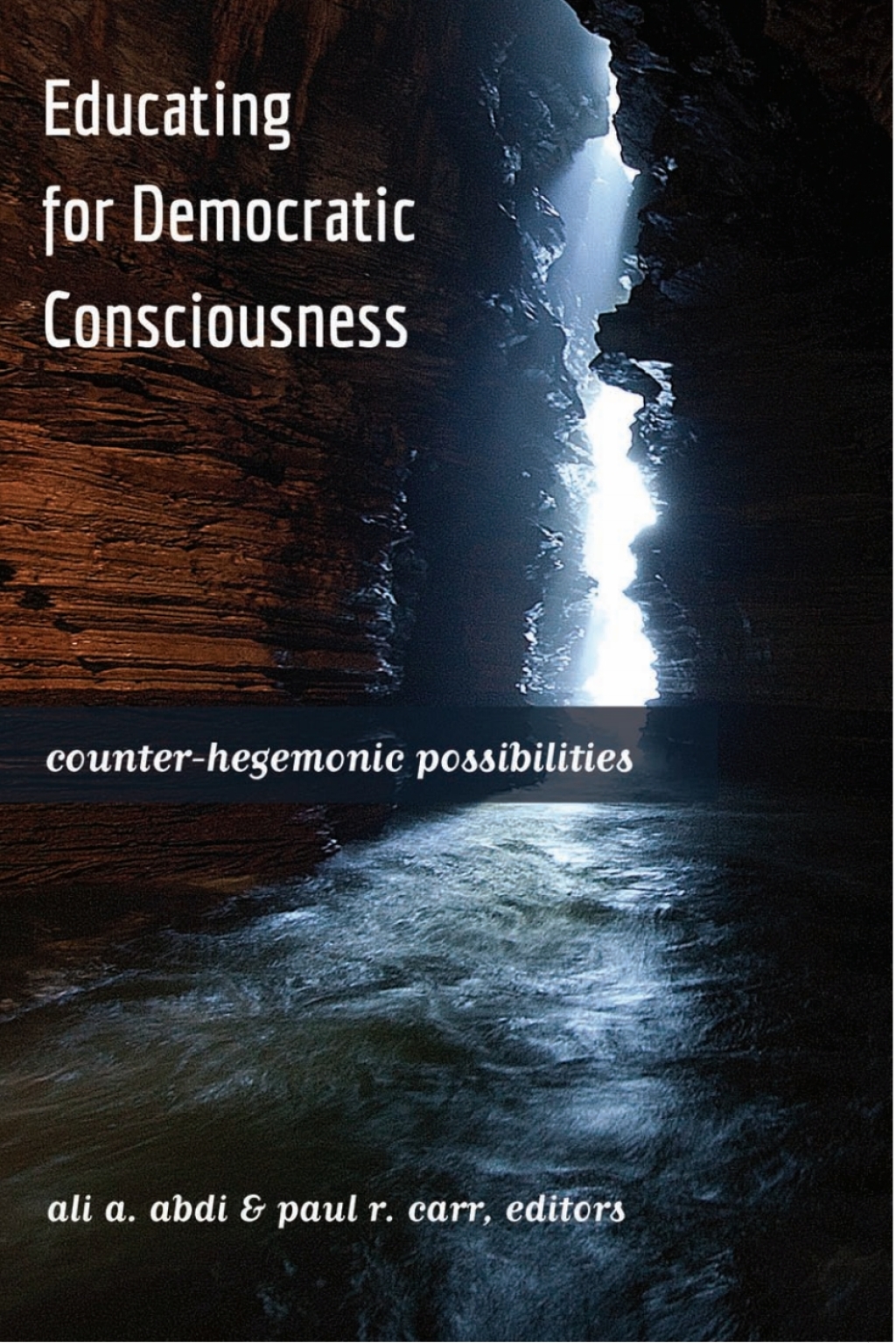 Educating for Democratic Consciousness Counter-Hegemonic Possibilities 1st Edition