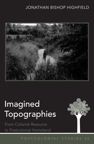 Immagine di copertina: Imagined Topographies 1st edition 9781433119873