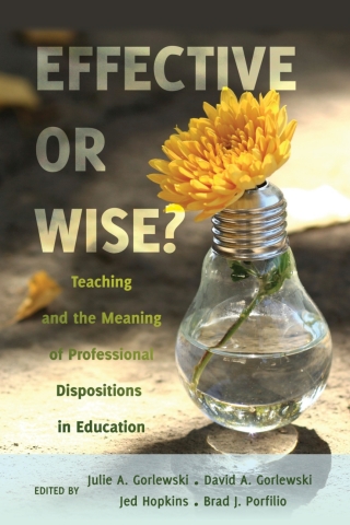 Cover image: Effective or Wise? 1st edition 9781433121319