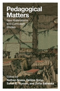 Cover image: Pedagogical Matters 1st edition 9781433131325