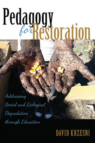 Imagen de portada: Pedagogy for Restoration 1st edition 9781433131554